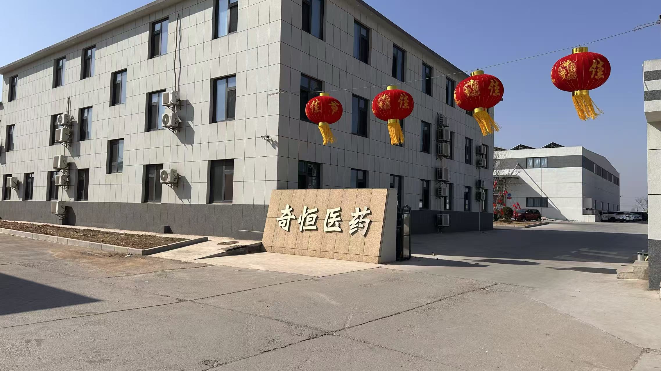 奇恒医药公司
